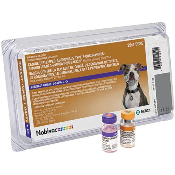 Nobivac 1 DAPPv+Cv 25x1ml Vials Canine Vaccine
